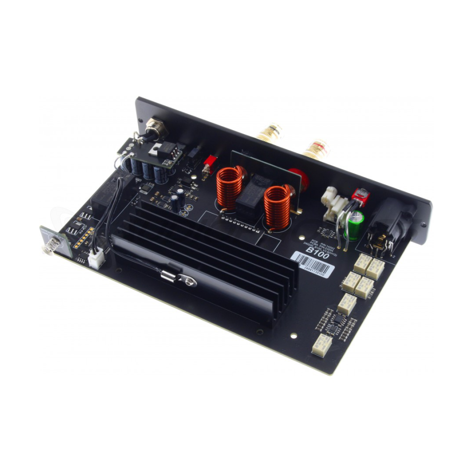 B100 Mono Power Amplifier | Silver