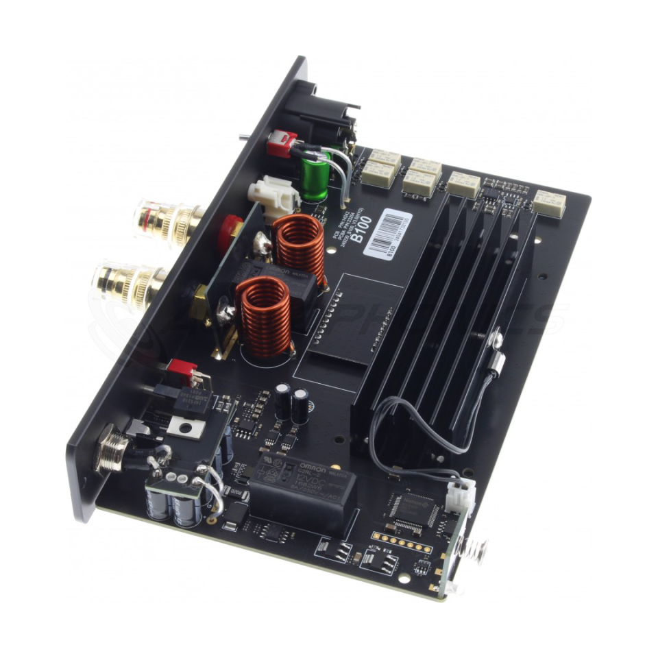 B100 Mono Power Amplifier | Silver