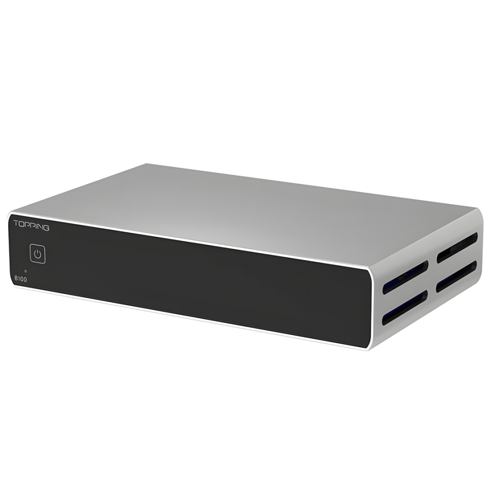 B100 Mono Power Amplifier | Silver