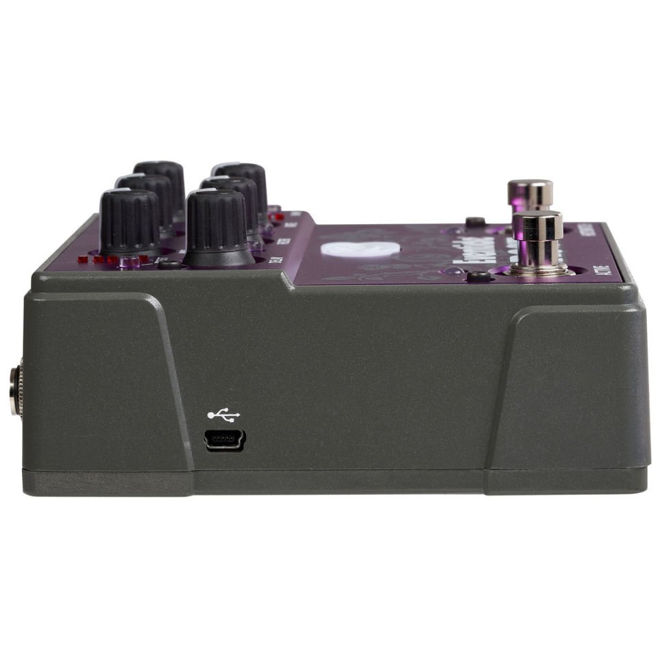Eventide Rose Digital Delay Pedal w/Analog Circuitry