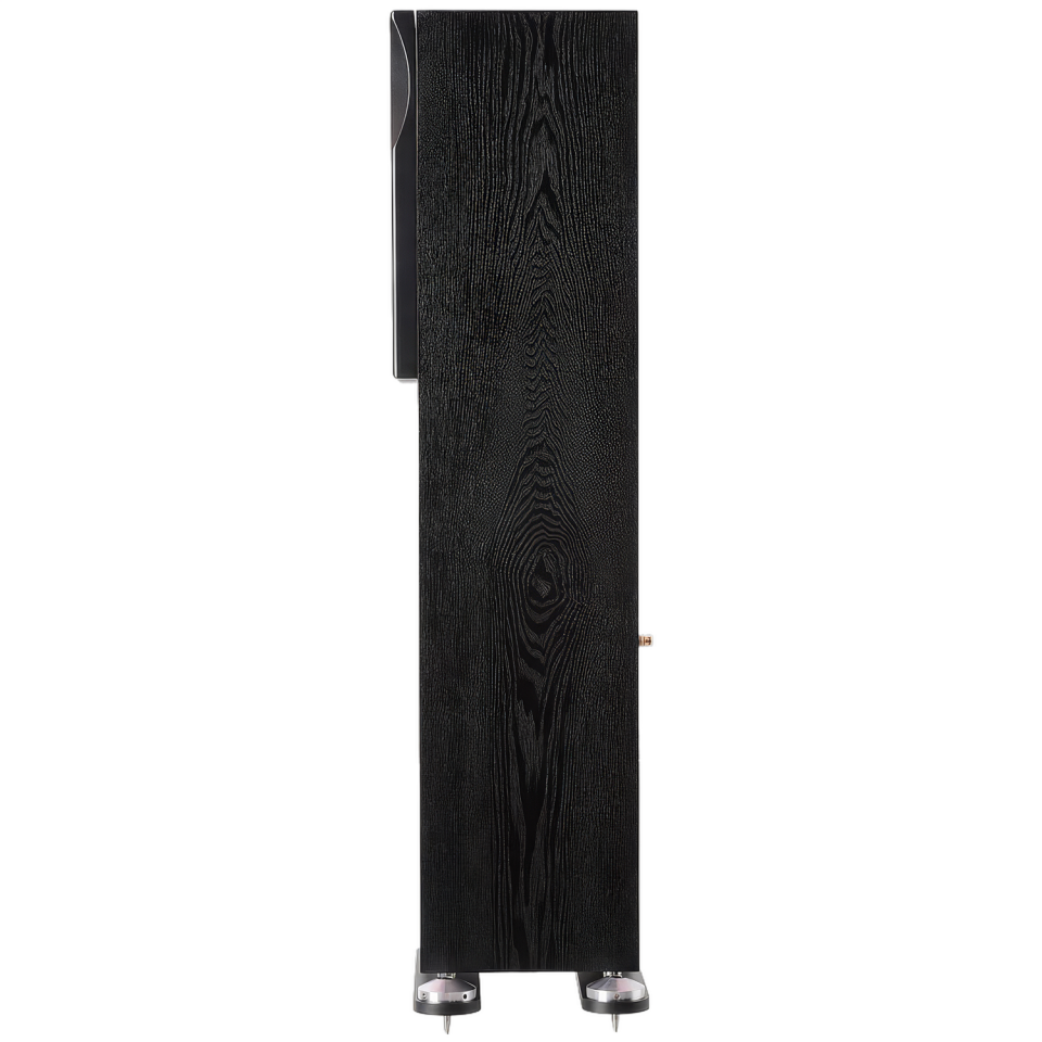 Momentum J6 Black Oak | Çift